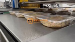 Конвейерный запайщик лотков вакуум-газ 187*137