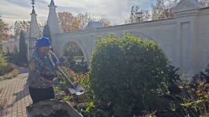 Один день из жизни садовника. 1,4 октября 2025.