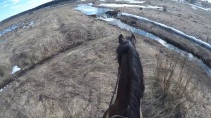 Прогулка верхом по Можайскому району