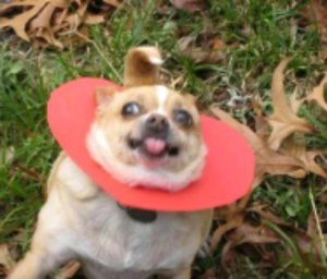 делаем домашнее задание за несколько минут