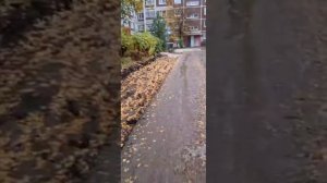 «На Филатова, 9 начали ремонт тротуаров. Раскопали — и всё на этом. Жители дома уже не знают, куда н