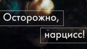 Психотипы. Нарциссический тип