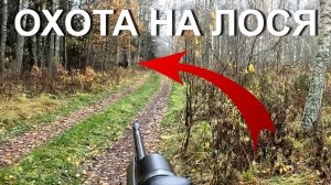 Охота НА ЛОСЯ. Многое попало в кадр.
