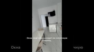 1к квартира на ул. Елизаветинская, 8