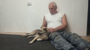 Не стоит сердиться на плохих людей. #собаки #животные