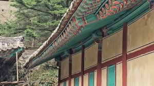 Северная Корея. Пхеньян 2025