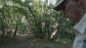 Дуэль Лермонтова без тайн и загадок с Николаем Серафимовым