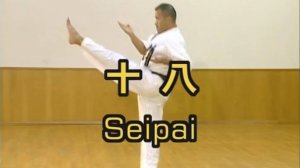 Сэйпай - Ката Карате Кёкусинкай (Seipai - 十八)v.2