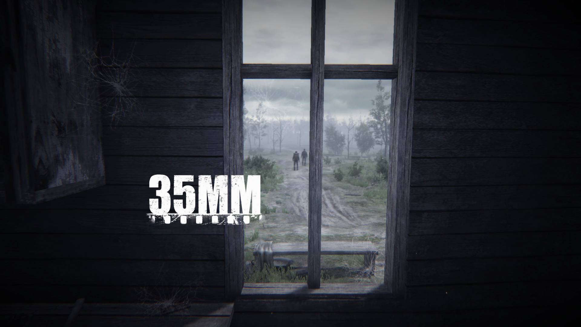 ПРИКЛЮЧЕНИЯ ПЕТРОВИЧА ▶ 35ММ