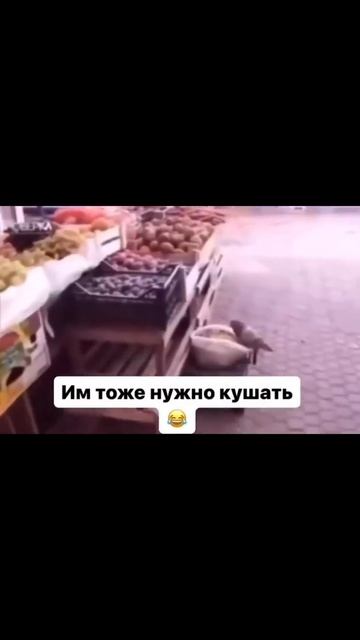 Прикол 2025 смотреть онлайн