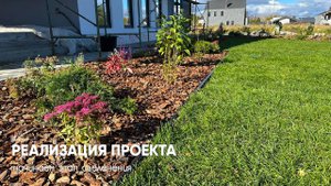 Реализация проекта: начинаем этап озеленения