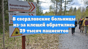 В свердловские больницы из-за клещей обратились 29 тысяч пациентов