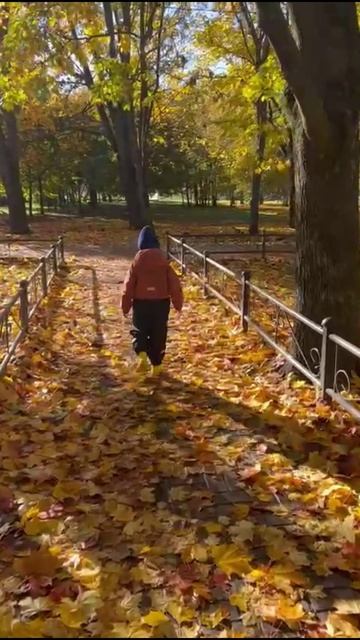 Золотая осень 