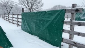 Тарпаулин на ферме