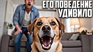 Хозяин установил камеру из-за жалоб на лай собаки и открыл невероятную тайну!