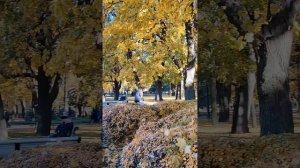Прогулка от Дворцовой площади до Исаакиевского собора