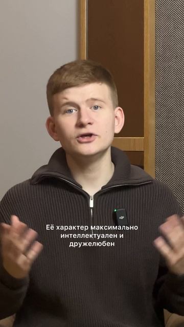 Все хотят “новую жизнь с понедельника”,но забывают, что понедельник начинается с тебя