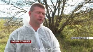 В Крыму диких зверей вакцинируют от бешенства