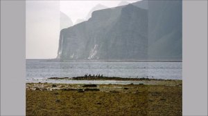 Командорские острова и остров Беринга