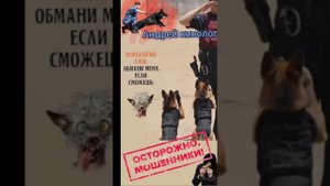 Управляющия "жылышнык"