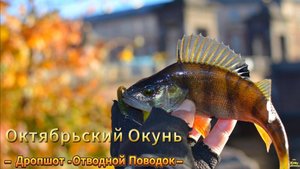 СТРИТФИШИНГ ОКУНЬ ОСНАСТКА ДРОПШОТ ОТВОДНОЙ ФОНТАНКА РЫБАЛКА ПРИМАНКИ ЦВЕТА И РАЗМЕРЫ