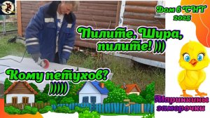 Дом в СНТ 2025. Пилите, Шура, пилите! Кому петухов?