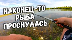 РЫБАЛКА НА ПОПЛАВОК С БЕРЕГА ЛЕТОМ / Рыбалка для души...