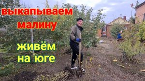 Ейск🌹Выкапываем малину. Дела по кухне и заготовкам. Ремонт и работа Олега.