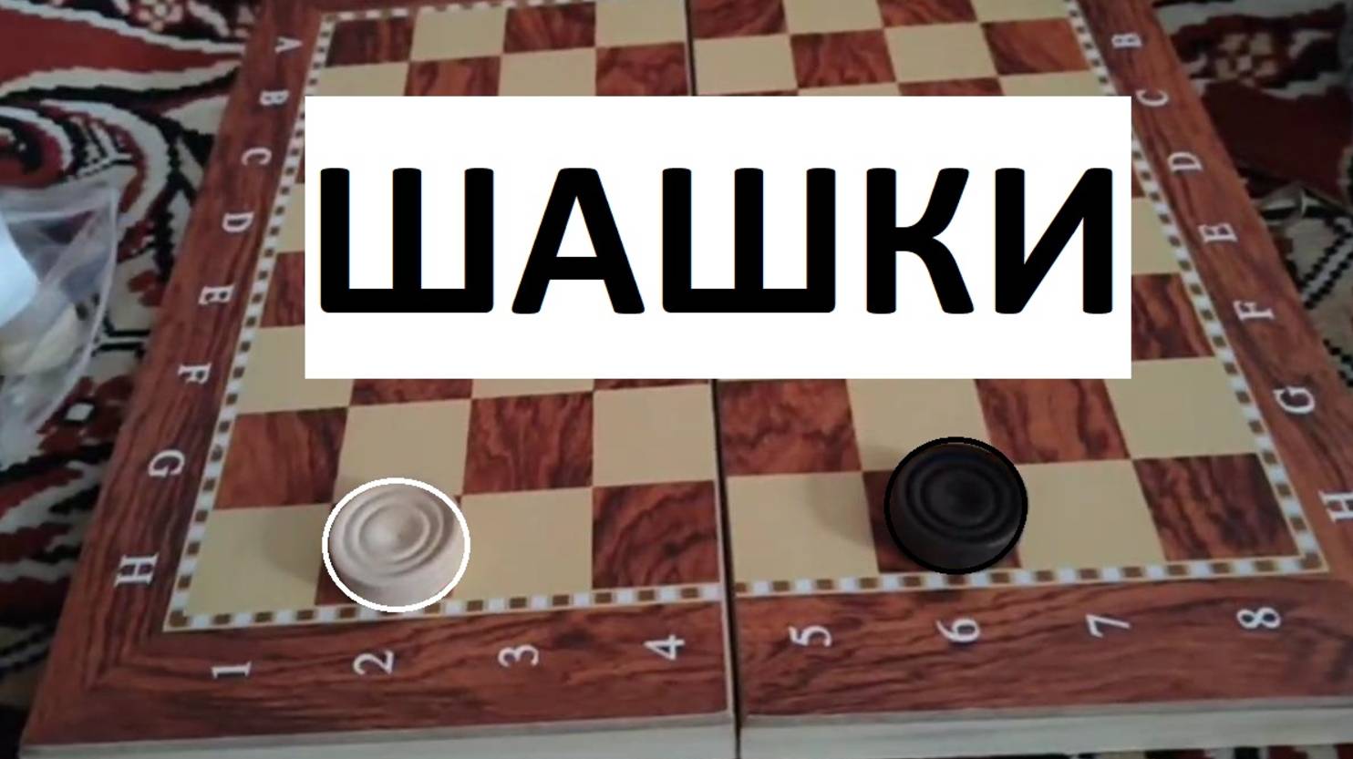 Шашки , шахматы