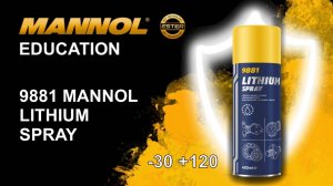 MN 9881 Lithium spray