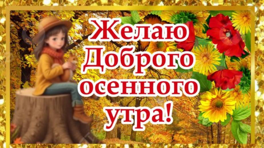 Доброго Осеннего Утра! Хорошего дня!Тёплого во всех отношениях! Красивые пожелания Доброго Утречка!