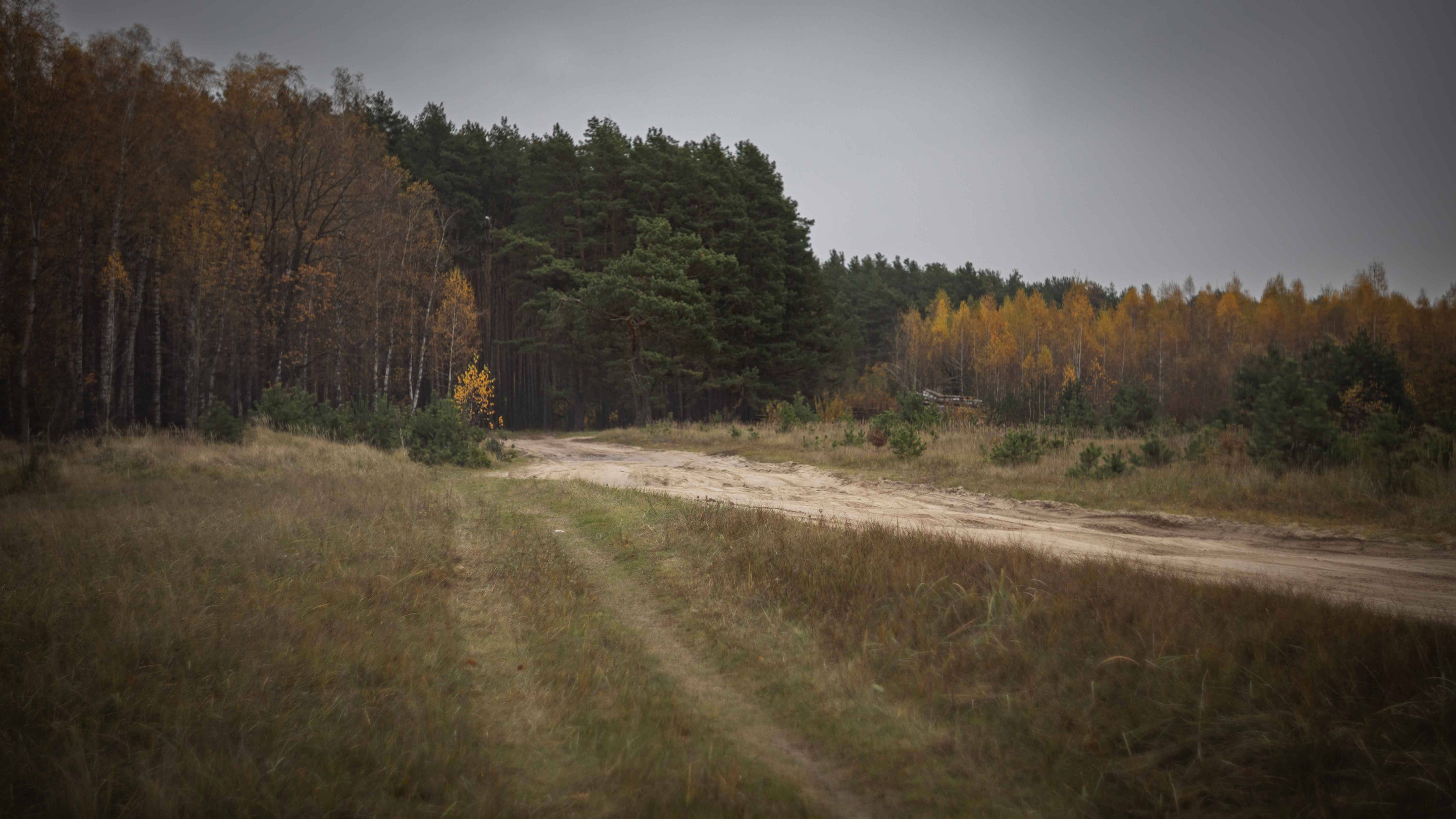 Canon R-8 и немного Гелиос 44-2... смотреть онлайн