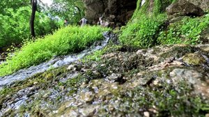 Водопады солнечной Абхазии 2025