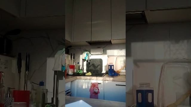 до бейте пожалуйста 1000 подписчиков смотреть онлайн