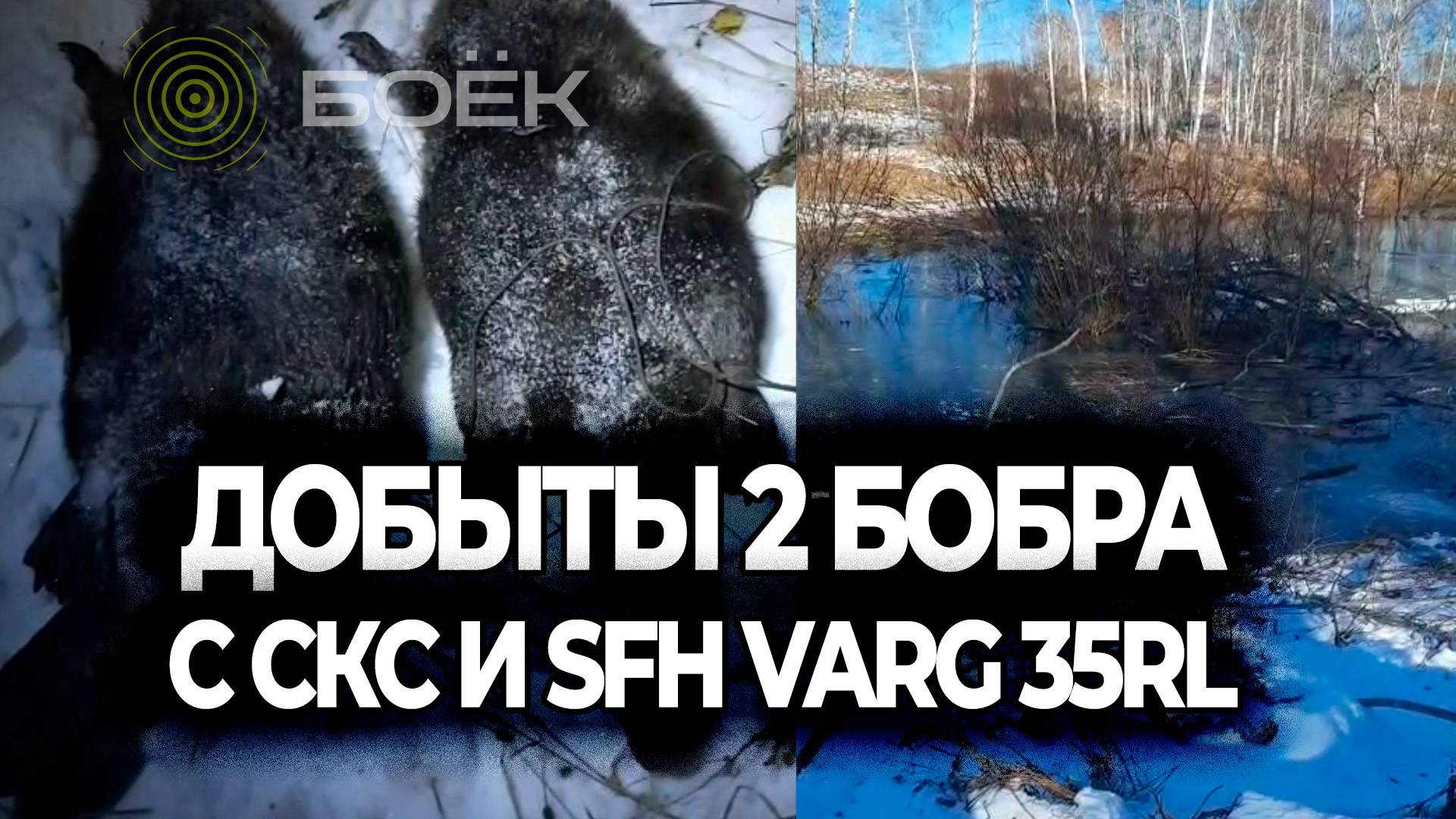 🦫 Охота на бобров в Новосибирской области | SFH VARG 35RL и карабин СКС | Реальная ночная охота смотреть онлайн