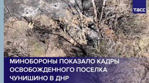Минобороны показало кадры освобожденного поселка Чунишино в ДНР