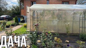 ДАЧА 6 СЕНТЯБРЯ 2025.