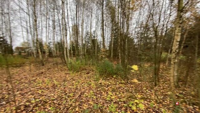 video-output-24597742-70D9-4C3D-8C12-6A0BF998DAEB-1 смотреть онлайн