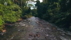 Heavenly Garden (Музыка для Сна, Музыка для...)