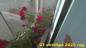7 соток. Подготовка к новому сезону. Что делаю? Хроника 21 октября 2025 год