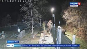"Вести. Сахалин. Курилы". 20 октября 2025 года