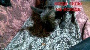 20.10.13.42.Когда силы на исходе.