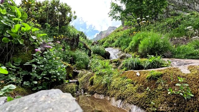 Прекрасные горы в Сочи 2025 смотреть онлайн