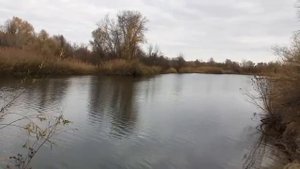 ВЕЛИКОЛЕПНАЯ РЫБАЛКА. Чудеса на дроп-шот оснастку.Рыбалка на поплавок!