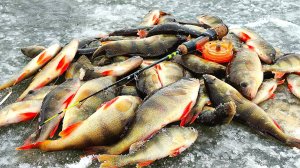 ПЕРВЫЙ ЛЁД. ИСКУПАЛСЯ И ПЕРВЫХ ОКУНЕЙ НА БЛЕСНУ НАДЁРГАЛ!!!