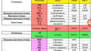 Таких ГХА по КИСЛОТАМ я еще ни разу не получал! Angel Китайские дрожжи удивили!