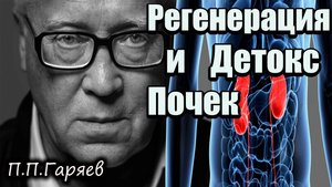 Матрица Гаряева для Почек | Звуковая терапия для восстановления и детокса