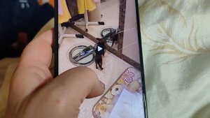 Выпускники нашего питомника в НОВОМ доме #отзывыопитомникемаримистик +79215950848