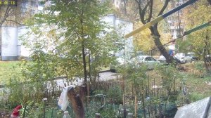 В генеральную прокуратуру РФ Нарушения ПДД и САНПИН
