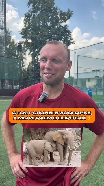 Самая легкая позиция в футболе смотреть онлайн